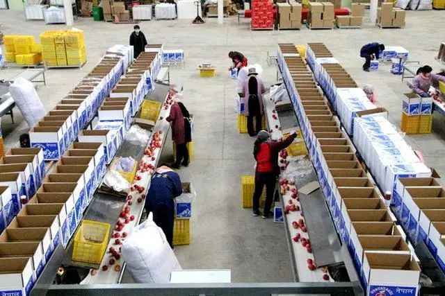 1654513898624305.jpg 3.jpg