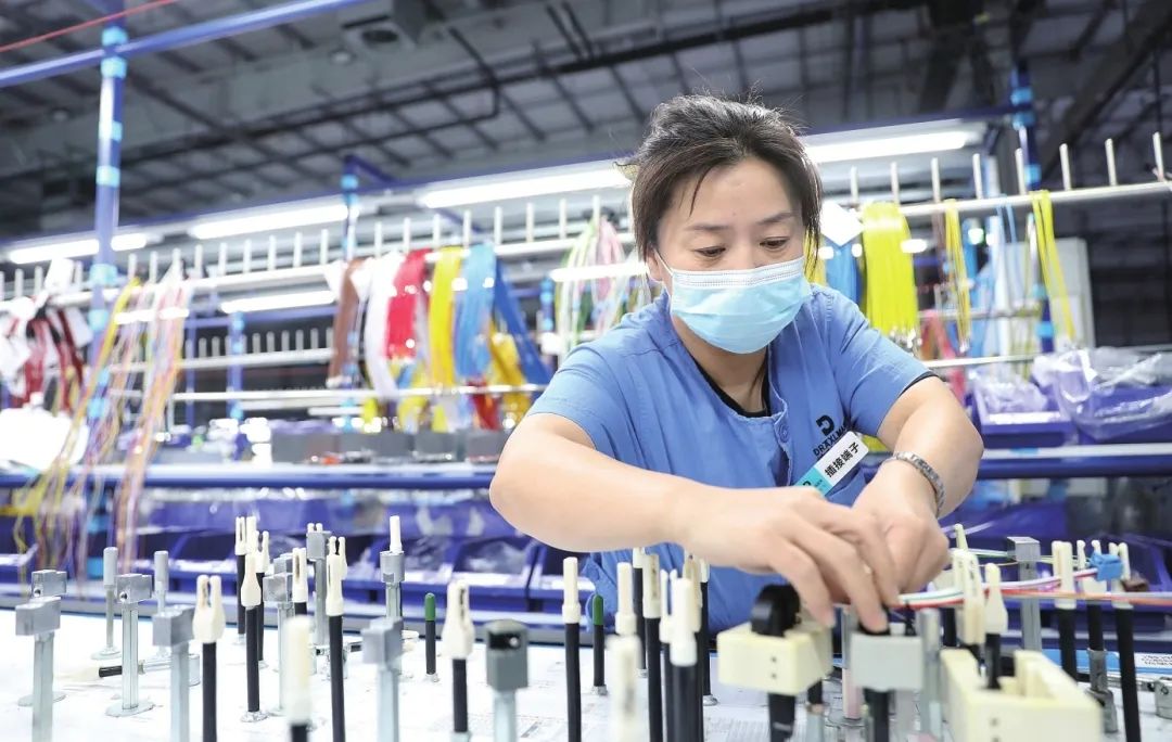 1659344186136647.jpg 22.jpg