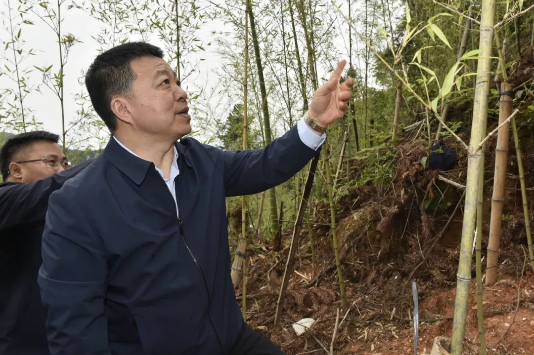 1683799912230478.jpg 4.jpg